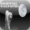 NightFall Wallpapers