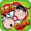 Bulls And Cows Plus