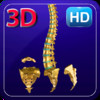 3D Human Spine HD