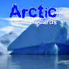 Arctic eCards