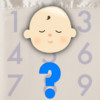 Numerology: Baby Namer