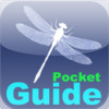 Pocket Guide UK Dragonflies