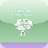 Broad Oak Primary School