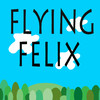 Flappy Felix - The Cat That Can Fly