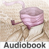 Audiobook-Invisible Man