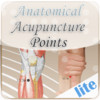 Anatomical Illustration of Acupuncture Points Lite
