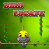 Bird Escape