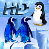 Penguin Island HD