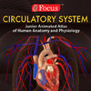Circulatory System  -  Jr. Animated Atlas series