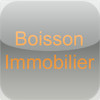 Agence Boisson Immobilier