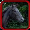 Equine Vet - Horse Medical App for all Equestrians