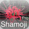 Shamoji123Pro