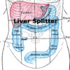 Liver Splitter