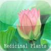 Medicinal Plants "iPhone Version"