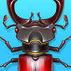 Forest Bugs FREE - Funny Game for Kids and Adults