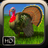 Turkey Hunter HD