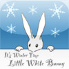 Winter Bunny - A Children's Story