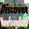 Discover Newfoundland Virtually