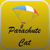 Parachute Cat