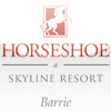 Horseshoe & Skyline Resort