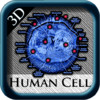 Human Cell 3D