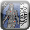3D Nervous System