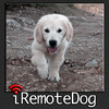 iRemoteDog - Control your dog with your iphone