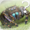Spider Quiz for iPad