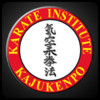 Karate Institute - Mentor