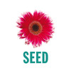 SEED Cards