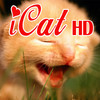 iCat(HD)
