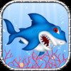 Tappy Shark - Shark vs Fish Splashy Adventure.