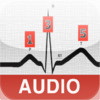 ECG Audio Course