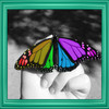 Color Effects FX HD Free - ReColor And Splash Photo Effect Editor para FB,Skype,MSn