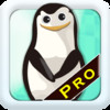 Angry Penguin Dash Pro