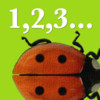 Ladybug Counting