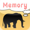 Memory for iPad