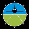 International Aviation Academy
