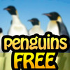 Pet Penguin FREE
