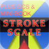 Stroke Scale