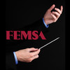 FEMSA Annual Report 2012
