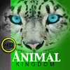 HD Animal Kingdom