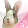 RabbitClock 01 for iPad