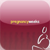 Pregnancy Weeks