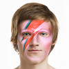 Bowiefy : Glam Rock Booth Face Swap