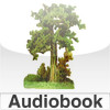 Audiobook-Walden
