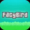 Facy Bird