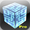 Crate Maze Pro