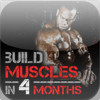 Build Muscles In 4 Months