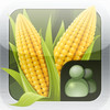 ScoutPro Corn Consulting